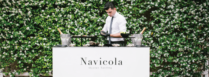 Navicola2bis