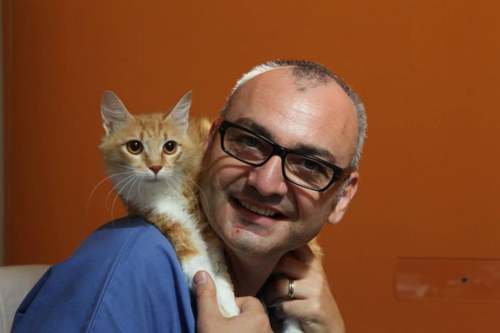 veterinario veterinario