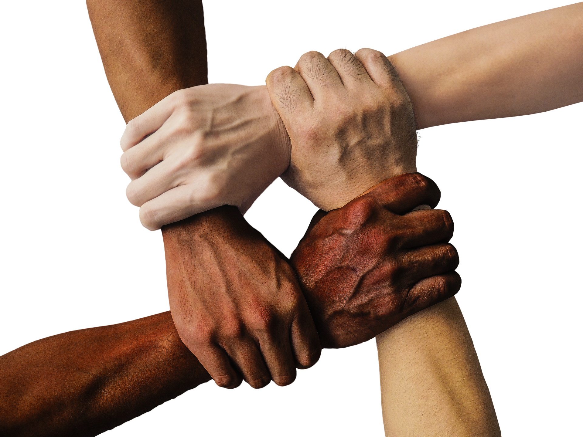 Social Impact