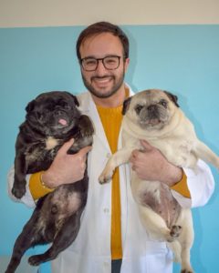 Veterinario Lecce